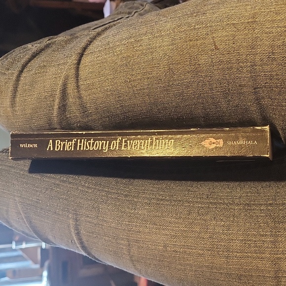 "A brief history of everything" by Ken wilber - Picture 2 of 4